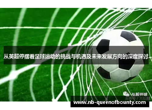 从英超停摆看足球运动的挑战与机遇及未来发展方向的深度探讨