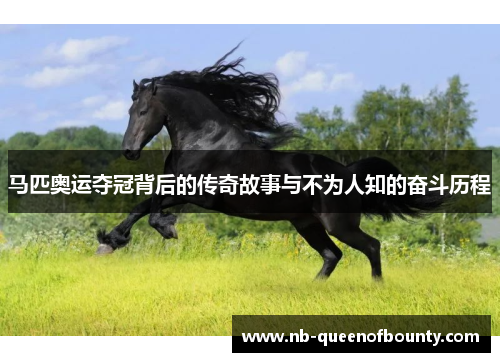 马匹奥运夺冠背后的传奇故事与不为人知的奋斗历程